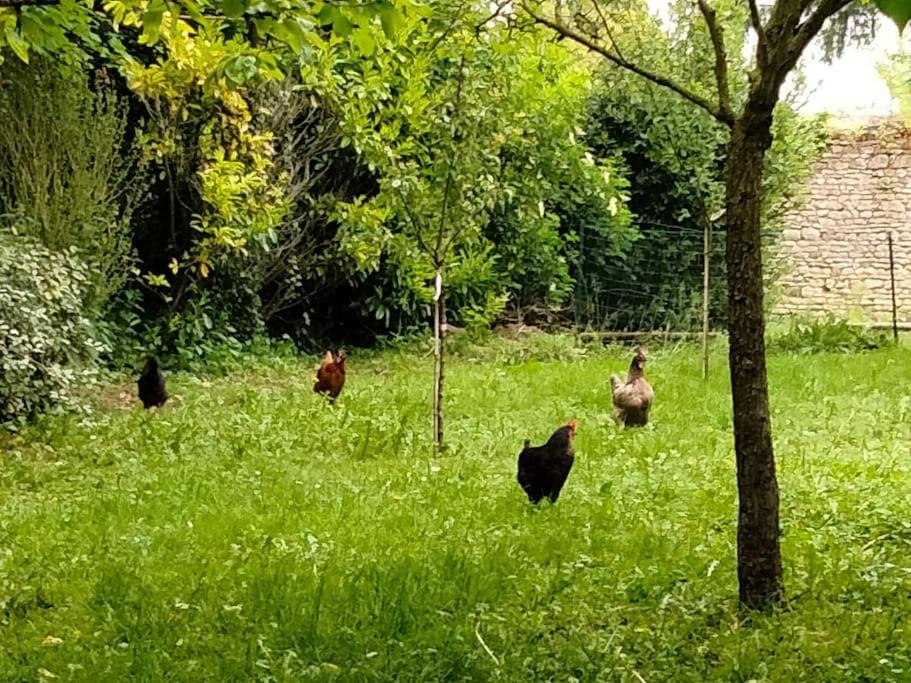 Вилла Le Cinq, Au Coeur Du Vexin Themericourt Экстерьер фото